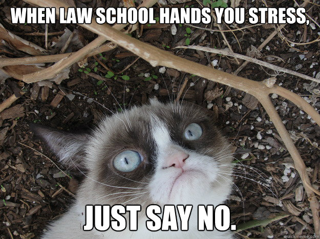 When law school hands you stress, Just say No.   Stressed Grumpy Cat