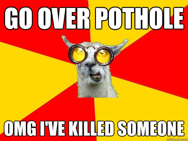 go over pothole  omg i've killed someone  Learner Driver Llama