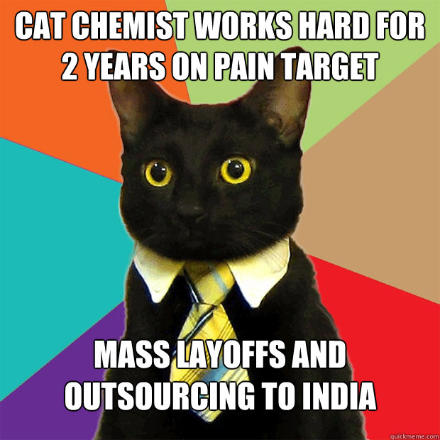 Cat chemist works hard for 2 years on pain target mass layoffs and outsourcing to India  Business Cat