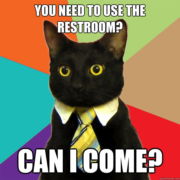 you need to use the restroom? can i come?  Business Cat