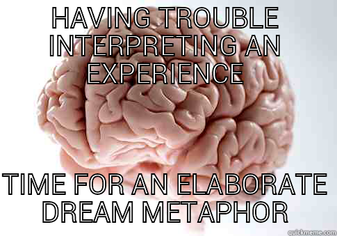 HAVING TROUBLE INTERPRETING AN EXPERIENCE TIME FOR AN ELABORATE DREAM METAPHOR Scumbag Brain