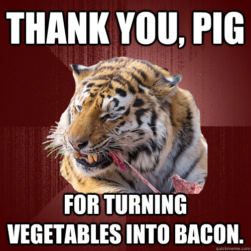 Thank you, pig For turning vegetables into bacon.  Keto Tiger