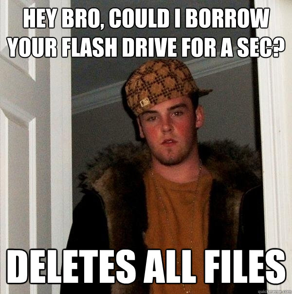 Hey bro, could I borrow your flash drive for a sec? Deletes all files  Scumbag Steve