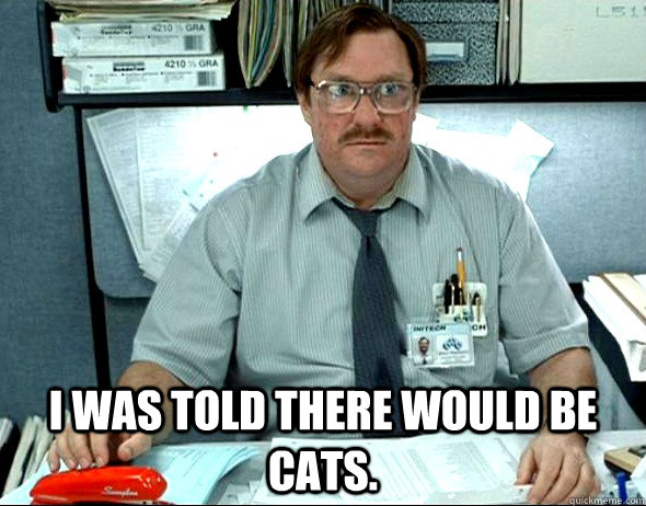  I WAS TOLD THERE WOULD BE CATs. -  I WAS TOLD THERE WOULD BE CATs.  Office Space Milton