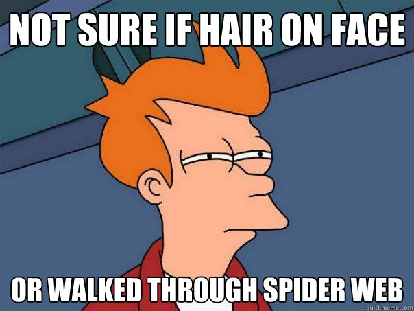 Not sure if hair on face Or walked through spider web  Futurama Fry