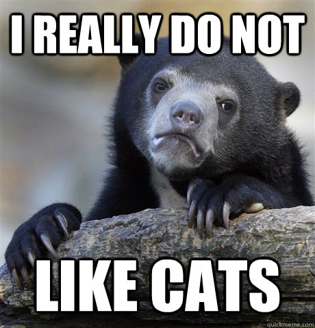 I really do not  like cats  Confession Bear