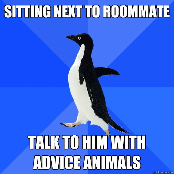 Sitting next to roommate talk to him with advice animals  Socially Awkward Penguin