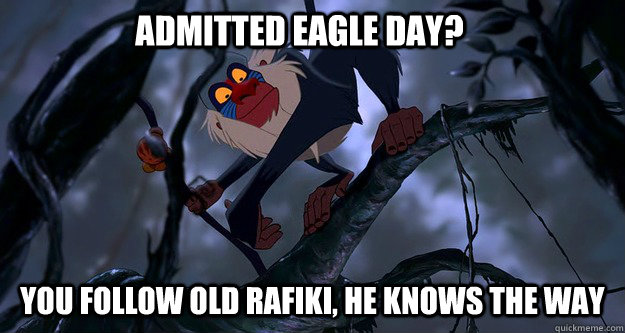 Admitted Eagle Day? You follow old Rafiki, he knows the way  