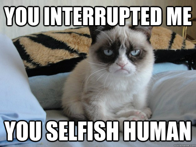 You Interrupted me You selfish human  