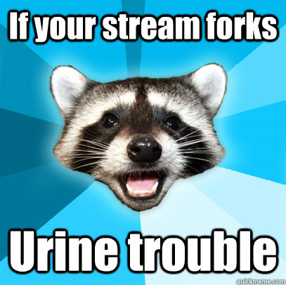 If your stream forks Urine trouble  Lame Pun Coon