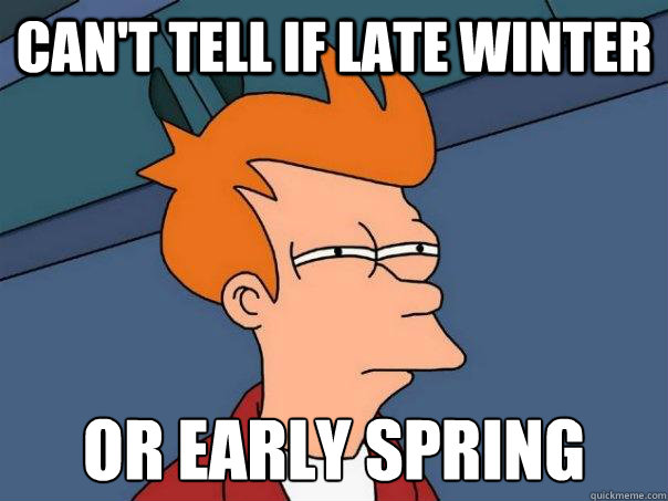 Can't tell if late winter or early spring  Futurama Fry