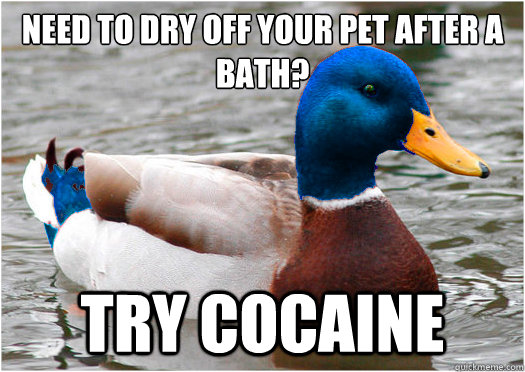 Need to dry off your pet after a bath?
 try cocaine  