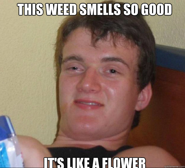 This weed smells so good It's like a flower   10guy