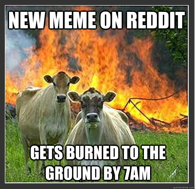 New meme on reddit gets burned to the ground by 7am  Evil cows