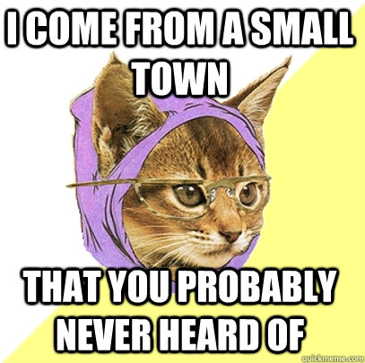 I come from a small town that you probably never heard of  Hipster Kitty