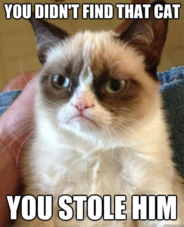 you didn't find that cat you stole him  Grumpy Cat