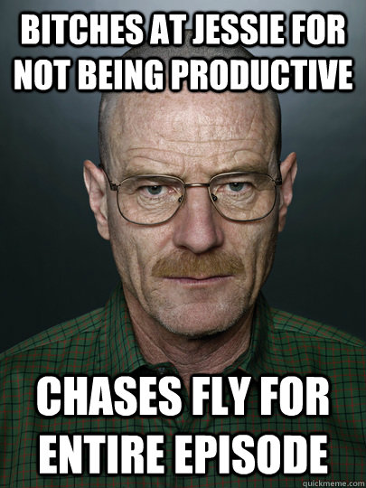 bitches at jessie for not being productive chases fly for entire episode  - bitches at jessie for not being productive chases fly for entire episode   Advice Walter White