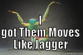  I GOT THEM MOVES LIKE JAGGER Misc