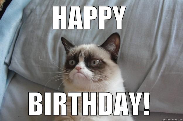 Hooray its your birthday. Big whoop. - HAPPY BIRTHDAY! Grumpy Cat