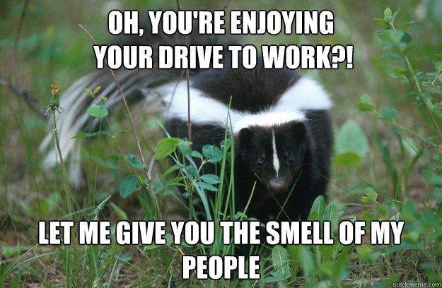 OH, You're enjoying
 your drive to work?! LET ME GIVE YOU THE SMELL OF MY PEOPLE - OH, You're enjoying
 your drive to work?! LET ME GIVE YOU THE SMELL OF MY PEOPLE  Angry Skunk