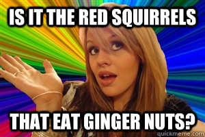is it the red squirrels that eat ginger nuts?  dumb blonde