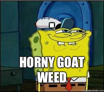  Horny Goat Weed  Spongebob