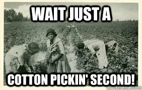 wait just a  cotton pickin' second!  cotton fields