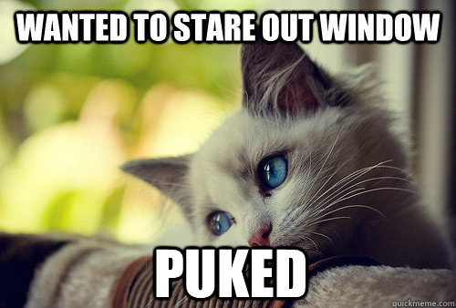 Wanted to stare out window puked  First World Problems Cat