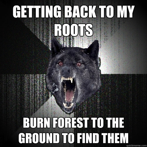 GETTING BACK TO MY ROOTS BURN FOREST TO THE GROUND TO FIND THEM  Insanity Wolf