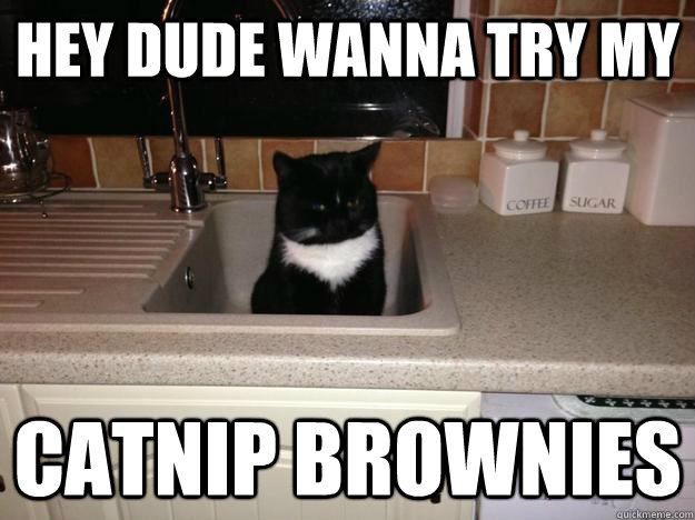 Hey dude wanna try my catnip brownies  