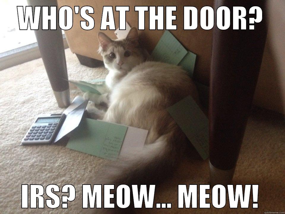 WHO'S AT THE DOOR? IRS? MEOW... MEOW! Misc