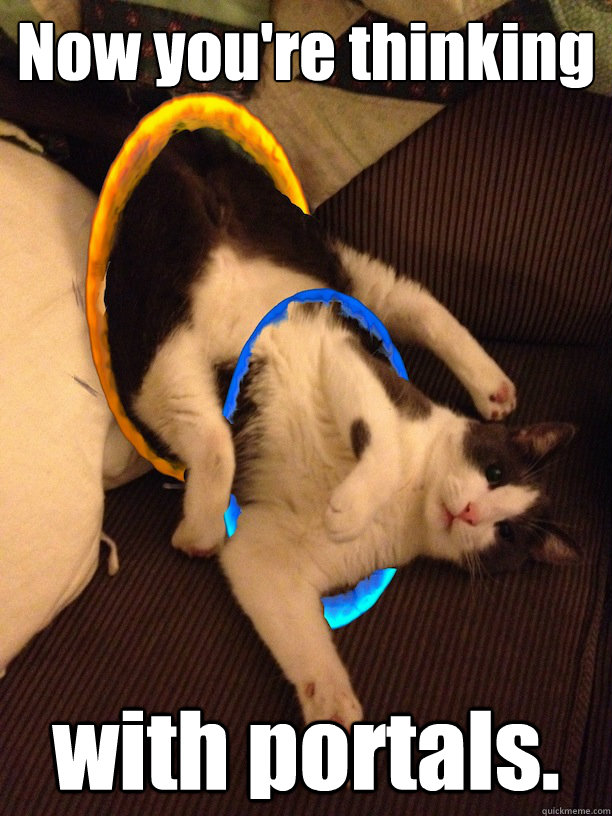 Now you're thinking with portals.  Portal Couch Cat