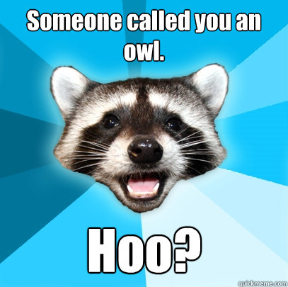 Someone called you an owl. Hoo?  Lame Pun Coon