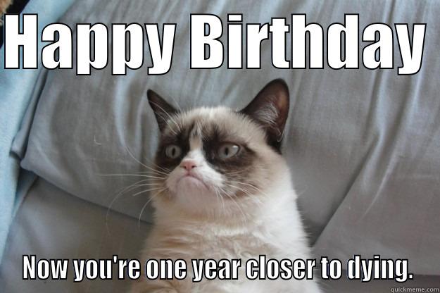 HAPPY BIRTHDAY  NOW YOU'RE ONE YEAR CLOSER TO DYING. Grumpy Cat