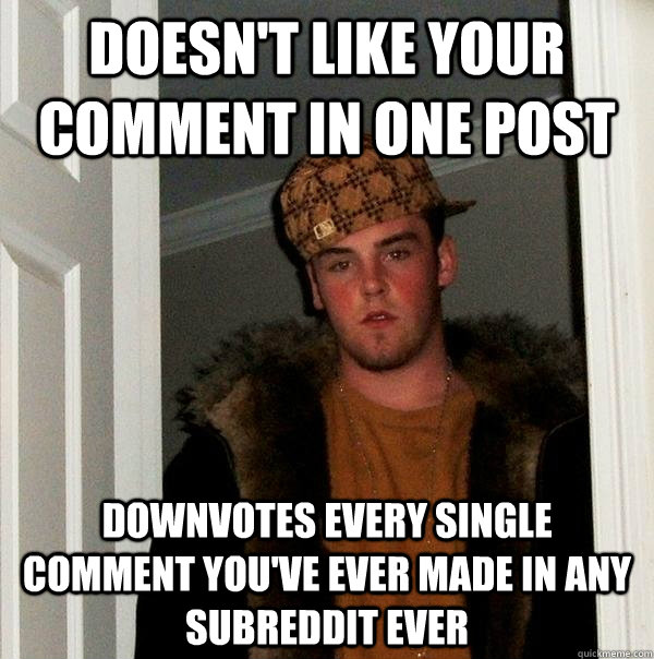 Doesn't like your comment in one post Downvotes every single comment you've ever made in any subreddit ever  Scumbag Steve