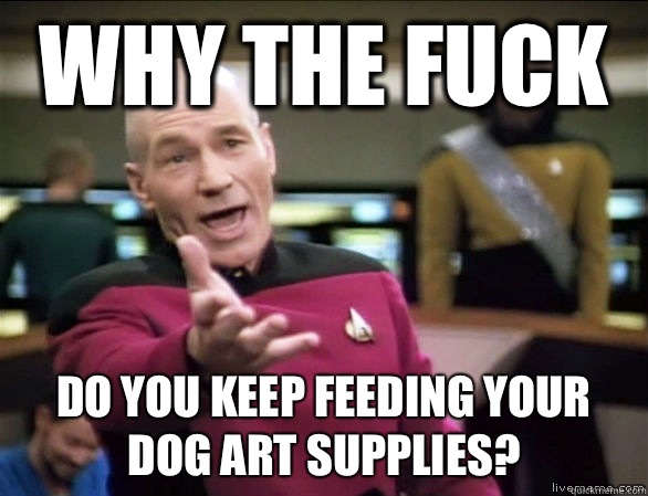 why the fuck Do you keep feeding your dog art supplies?  Annoyed Picard HD