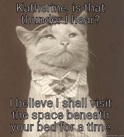 KATHERINE, IS THAT THUNDER I HEAR? I BELIEVE I SHALL VISIT THE SPACE BENEATH YOUR BED FOR A TIME Aristocat