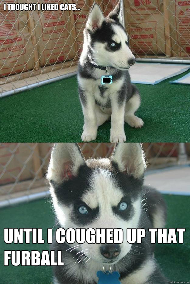 I thought i liked cats... until i coughed up that furball  Insanity puppy