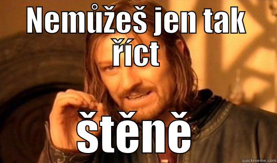 NEMŮŽEŠ JEN TAK ŘÍCT ŠTĚNĚ Boromir