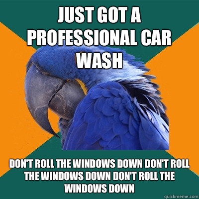 Just got a professional car wash Don't roll the windows down don't roll the windows down don't roll the windows down  Paranoid Parrot