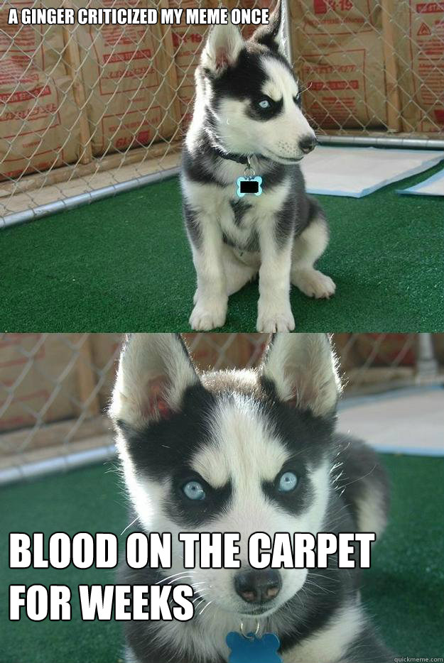 A Ginger criticized my meme once blood on the carpet for weeks  Insanity puppy
