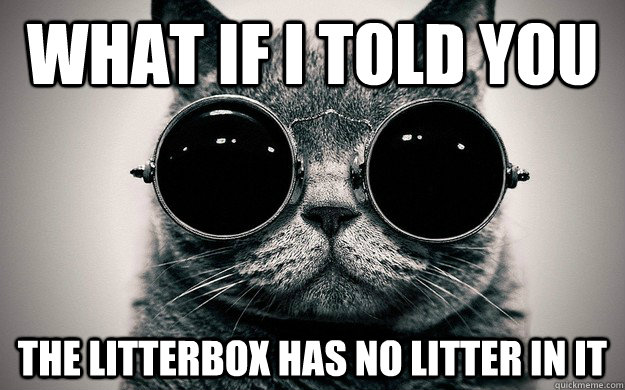 What if i told you the litterbox has no litter in it - What if i told you the litterbox has no litter in it  Morpheus Cat Facts