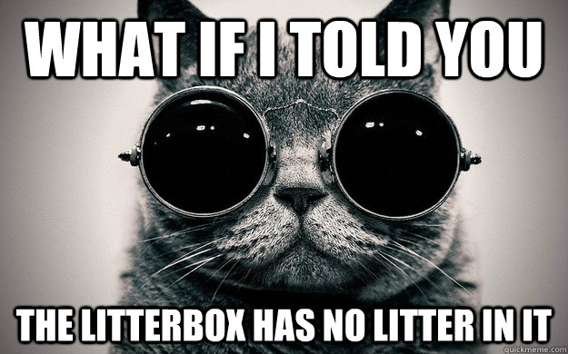 What if i told you the litterbox has no litter in it  Morpheus Cat Facts