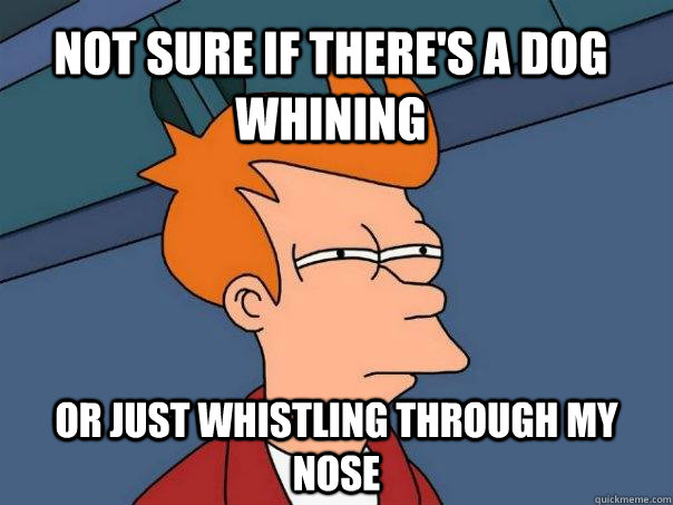 Not sure if there's a dog whining Or just whistling through my nose  Futurama Fry