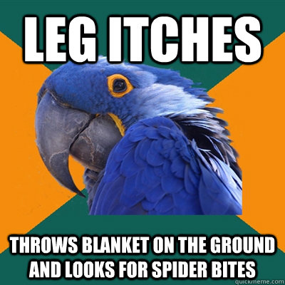LEG ITCHES THROWS BLANKET ON THE GROUND AND LOOKS FOR SPIDER BITES  Paranoid Parrot