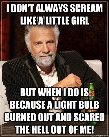 I don't always scream like a little girl but when i do is because a light bulb burned out and scared the hell out of me!  The Most Interesting Man In The World