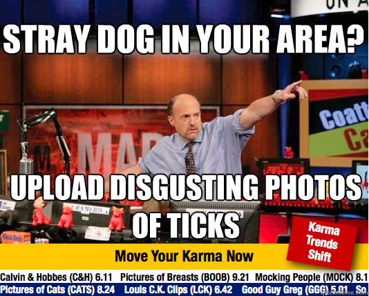 stray dog in your area? upload disgusting photos of ticks - stray dog in your area? upload disgusting photos of ticks  Mad Karma with Jim Cramer
