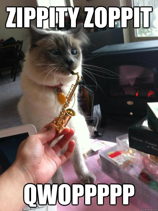 Zippity Zoppit QWOPPPPP  Cool Cat