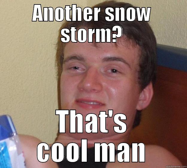 Another snow storm? - ANOTHER SNOW STORM? THAT'S COOL MAN 10 Guy