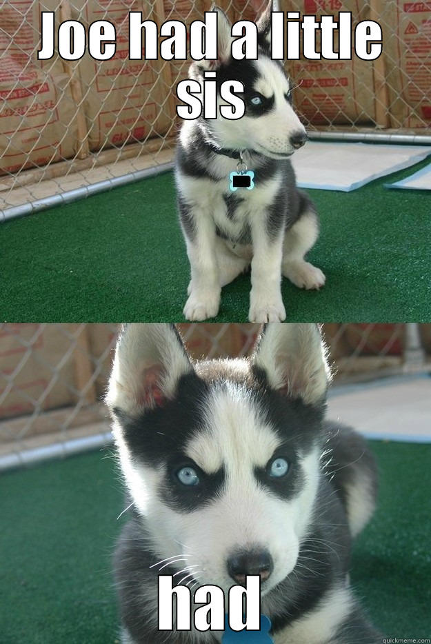 JOE HAD A LITTLE SIS HAD Insanity puppy
